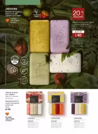 Catálogo Natura Página 99