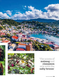 Waitrose catalogue Page 119