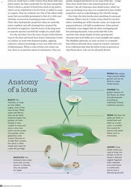 Waitrose catalogue Page 34