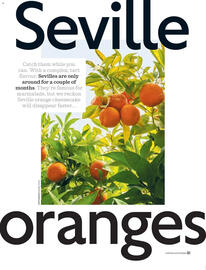 Waitrose catalogue Page 51