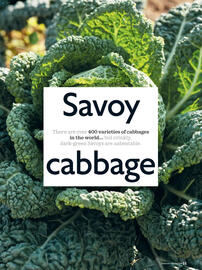 Waitrose catalogue Page 55