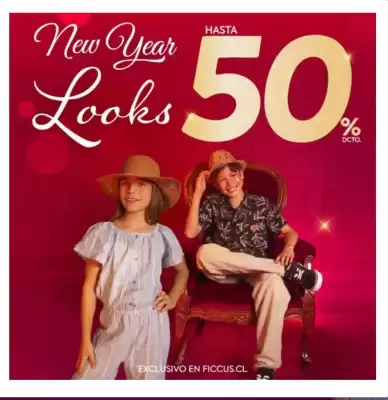 Catálogo Ficcus (válido hasta 5-01)