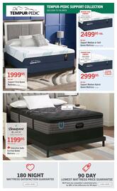 The Brick flyer Page 5