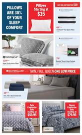 The Brick flyer Page 9