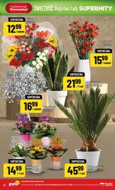 Polomarket gazetka Strona 56