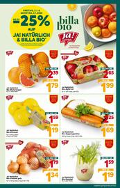 Billa Corso Flugblatt woche 1 Seite 4