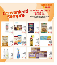 Volantino Spazio Conad Pagina 17