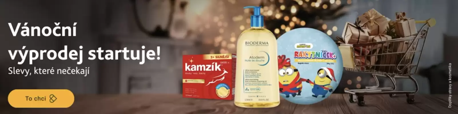 Lekarna leták (platné do 5-01)