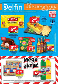 Delfin gazetka Strona 1