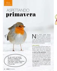 Volantino A&O Pagina 45