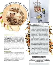 Volantino A&O Pagina 46