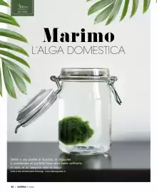 Volantino A&O Pagina 39