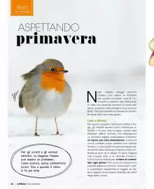 Volantino A&O Pagina 45