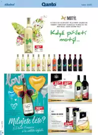 Astur&Qanto leták Strana 38