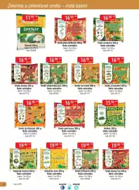 Astur&Qanto leták Strana 8