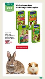 AVEVE folder Pagina 4