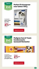 AVEVE folder Pagina 6