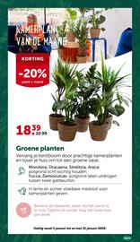 AVEVE folder Pagina 8