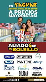 Catálogo Supermercados Yaguar semana 1 Página 1