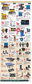 Canadian Tire flyer week 1 Page 7
