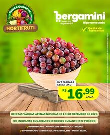 Catálogo Supermercado Bergamini Página 8