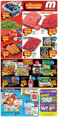 Metro flyer (valid until 7-01)