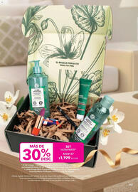 Catálogo Yves Rocher Página 117