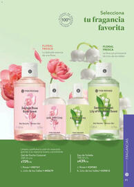 Catálogo Yves Rocher Página 93