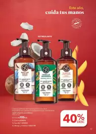 Catálogo Yves Rocher Página 11