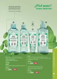 Catálogo Yves Rocher Página 33