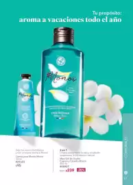 Catálogo Yves Rocher Página 63
