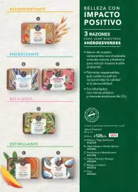 Catálogo Yves Rocher Página 80