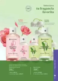 Catálogo Yves Rocher Página 93