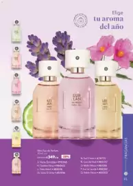 Catálogo Yves Rocher Página 95