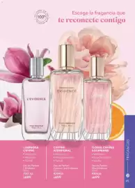 Catálogo Yves Rocher Página 97