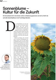 Lagerhaus Flugblatt Seite 42