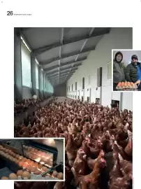 Lagerhaus Flugblatt Seite 26