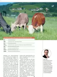 Lagerhaus Flugblatt Seite 47