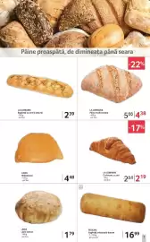 Catalog Selgros Pagină 7