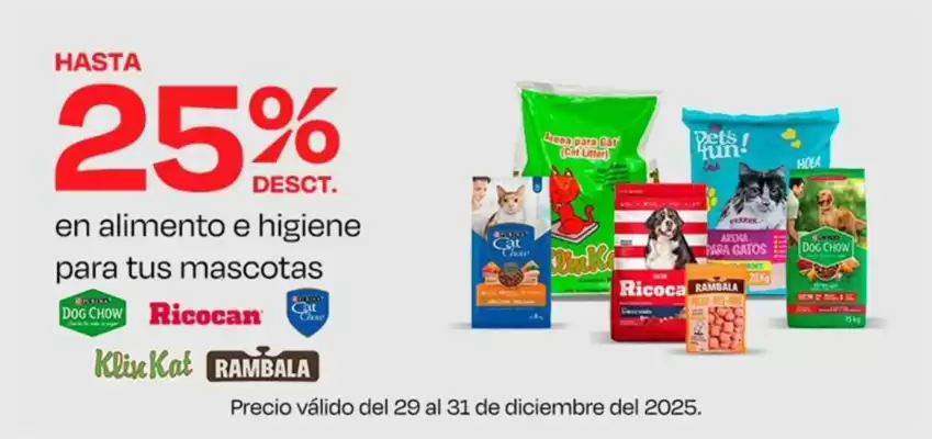 Catálogo Wong (válido hasta 31-12)