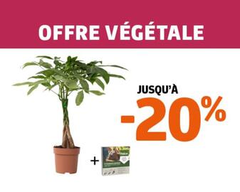 Catalogue Jardiland page 2