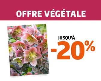 Catalogue Jardiland page 3