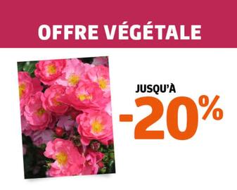 Catalogue Jardiland page 5