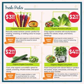 Healthy Planet flyer Page 2