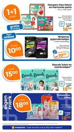 Trekpleister folder Pagina 41