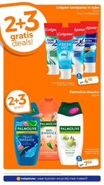 Trekpleister folder Pagina 9