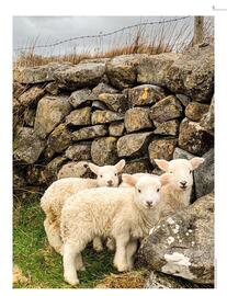 Catalogue Kuoni page 11