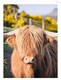 Catalogue Kuoni page 39