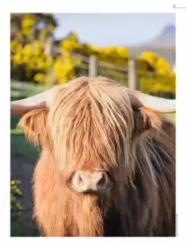 Catalogue Kuoni page 39