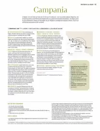 Catalogue Kuoni page 65